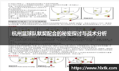 杭州篮球队默契配合的秘密探讨与战术分析